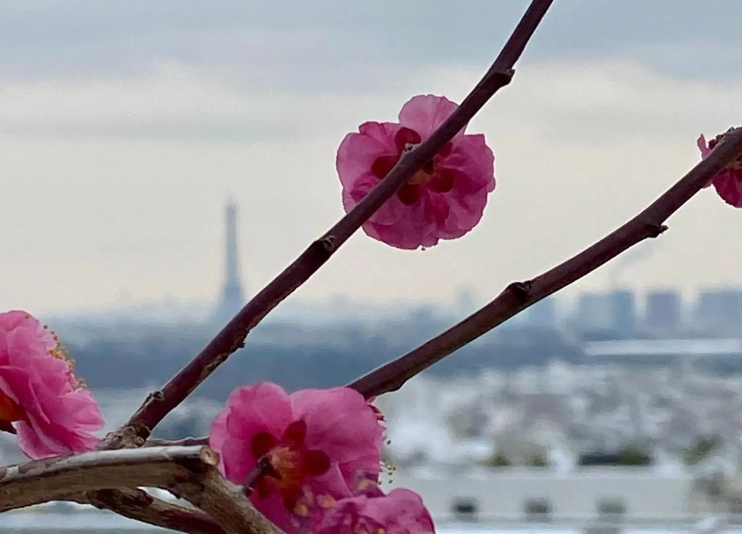 Ananda Huo Homestay Paris