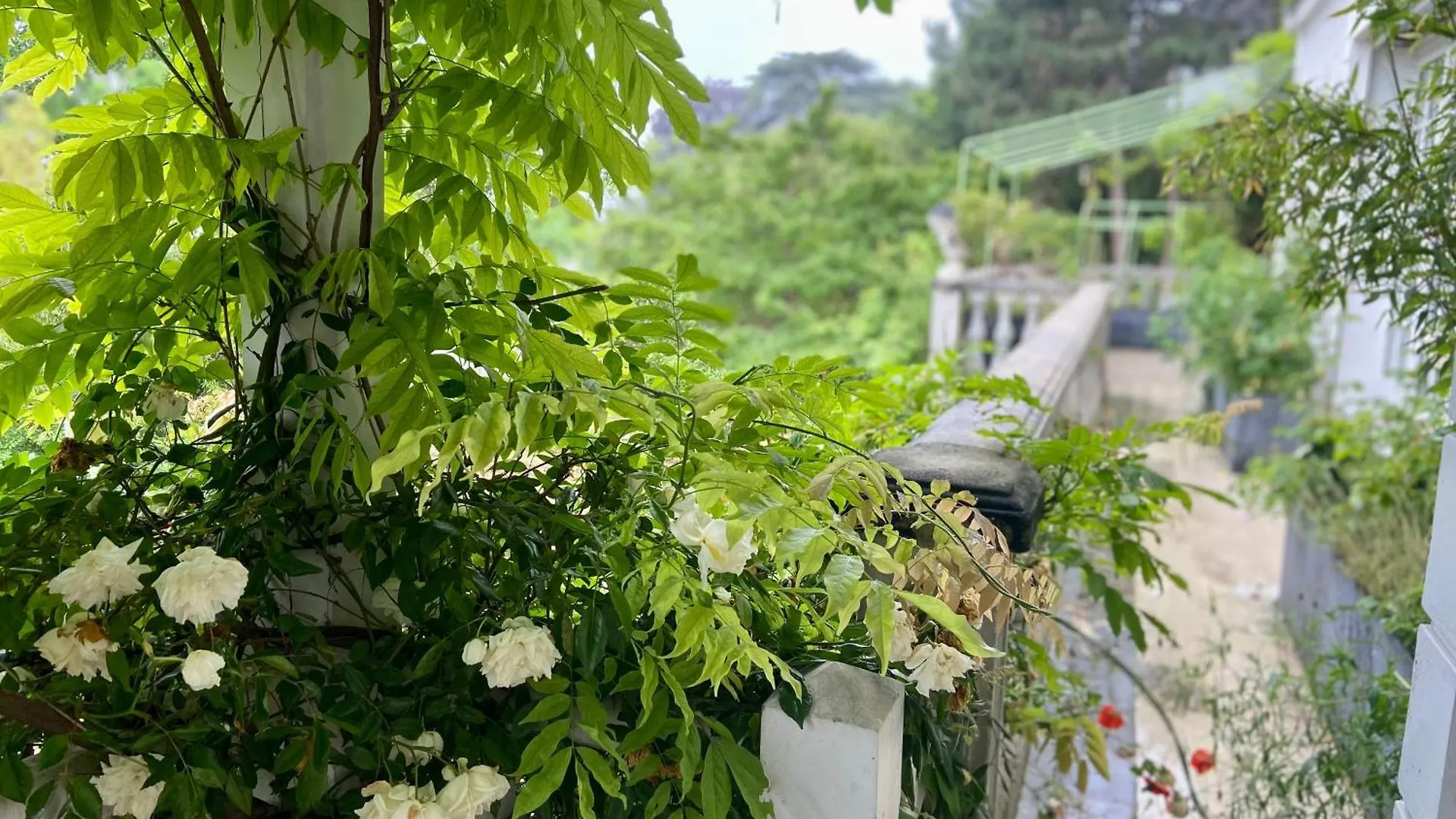 Ananda Huo